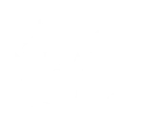 Blossom TMS Logo Final 02